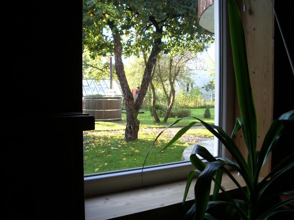 Maenni Guesthouse Хаапсалу Номер фото